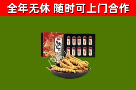 肇庆回收冬虫夏草价格